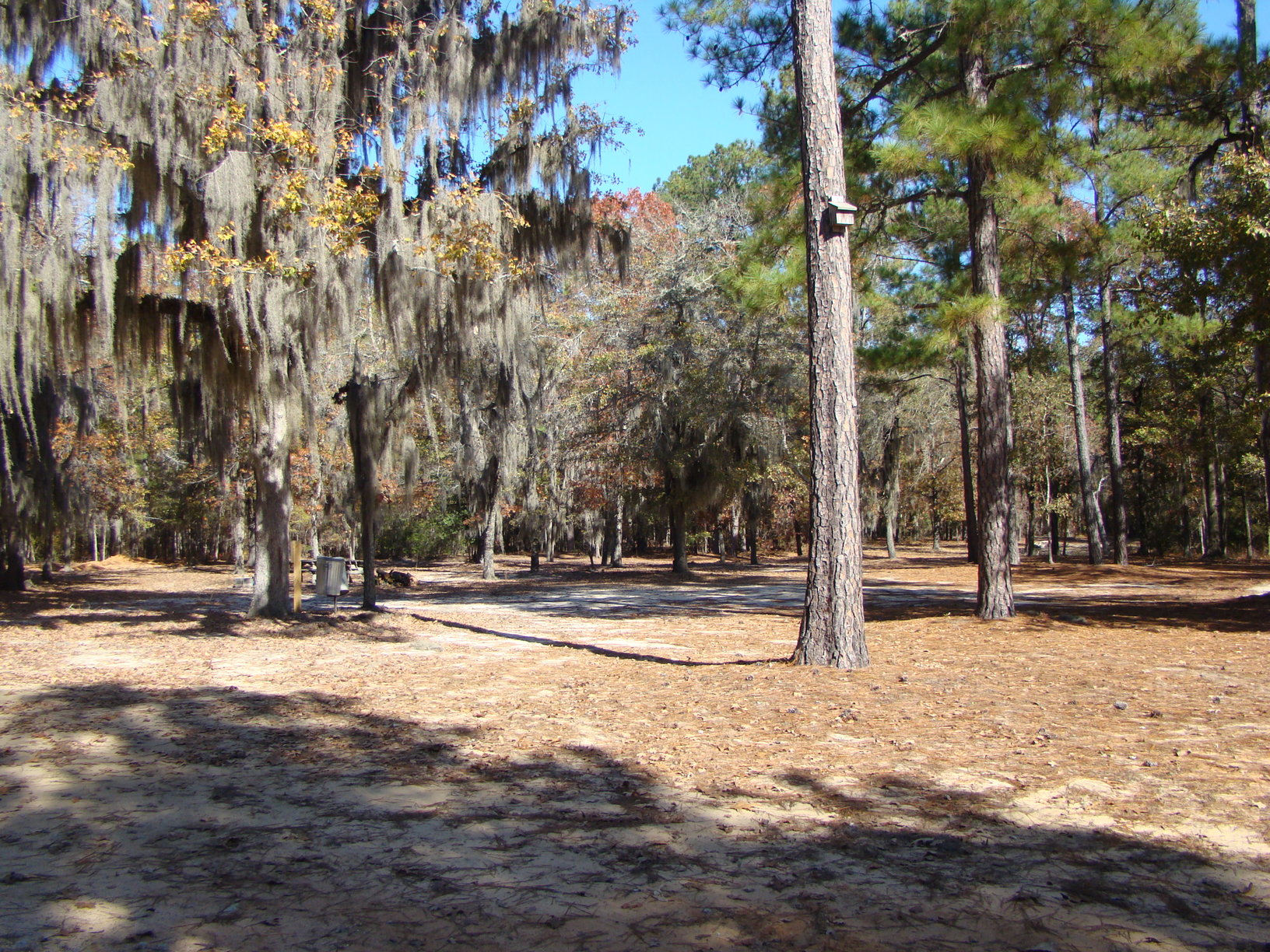 Parks & Recreation LRCP Camp Site 6 (nonhook up site) Parks